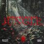 Jungle (Explicit)