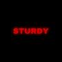 STURDY (feat. Lottaa) [Explicit]