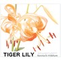 TIGER LILY