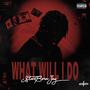 WHAT WILL I DO (Explicit)