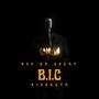 B.I.C (Explicit)