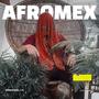 AFROMEX 1