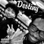 Destiny (Explicit)