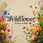 Wildflower (feat. The Folkless)