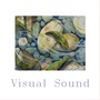 Visual Sound