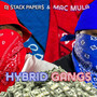 Hybrid Gangs