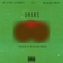 Shake (feat. Tazz & Major Millionaire) [Explicit]