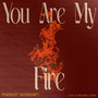 You Are My Fire (Live)