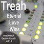 Eternal Love Wins (Instrumental Electro-Acoustic, Vol. 1.2)