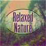 Relaxed Nature - Ocean Waves, Hydro Energy, Aromatherapy, Easy Listening, Well Being