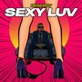 SEXY LUV (Explicit)