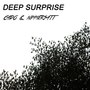 Deep Surprise