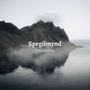 Spegilmynd