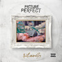 Picture Perfect (Explicit)