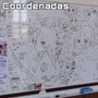 Coordenadas