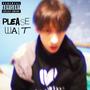 PLEASE WAIT (Explicit)