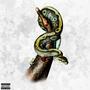 SNAKE YA BUT I AINT SLIME (Explicit)