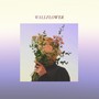 WALLFLOWER