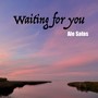 Waiting for You (Extended Mix)