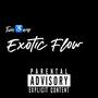 Exotic Flow (Explicit)