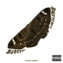 Butterfly Blossom (Explicit)