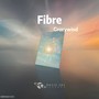 Fibre (纤维)