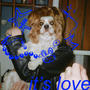 It's Love (Explicit)