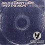 Into The Night (The Complete Remixes)