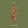 Vision