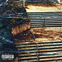 illusions (Explicit)