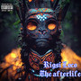 The Afterlife (Explicit)