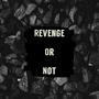 Revenge Or Not (feat. Jilli May) [Explicit]