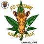 Fo Twinny 420 (Giraffe Face) [Explicit]