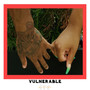 VULNERABLE (Explicit)