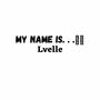 My name is. . . (Explicit)