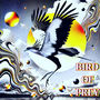 Bird of Prey