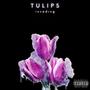 TULIPS (Explicit)