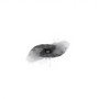 Go (Explicit)