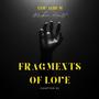 Fragments of love (Explicit)