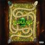 Jumanji (Explicit)