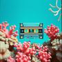 Corail (feat. Fuad)