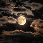 Night Peace: Gentle Harmonies for Deep Rest