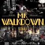 Mr. Walkdown (Explicit)