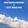 Guided Breathing Meditation and E.M.D.R. Bilateral Pulse (Headphone Version)