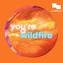 You're a Wildfire (feat. Sasha March)