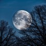 Music For Deep Rest And Untroubled Sleep