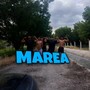 MAREA