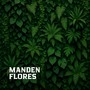 Manden Flores