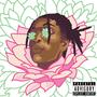 When A Flower Blooms (Explicit)