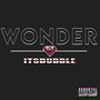 Wonder (Explicit)